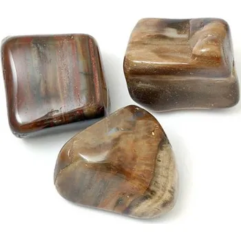 Materiál na výrobu šperku Araukarit zkamenělé dřevo XL 3cm (1ks)