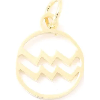 Přívěsek EU Přívěsek znamení Vodnář 13/11mm chirurgická ocel gold plating 24kt