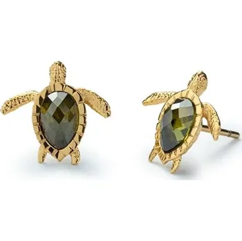 Hodinky Náušnice Paul Hewitt Turtle Gold PH-JE-0183