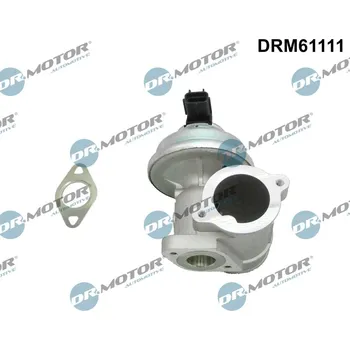 Ventil palivového systému AGR-Ventil Dr.Motor Automotive DRM61111