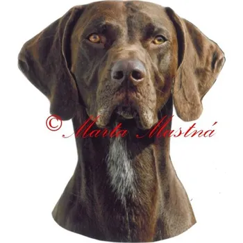 Samolepka německý krátkosrstý ohař 626