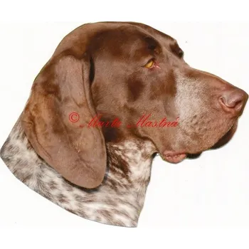 Samolepka německý ohař krátkosrstý - archiv 317