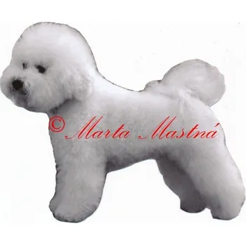 Samolepka bišonek 365