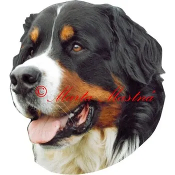 Samolepka bernský salašnický pes 149