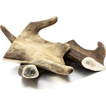 Pamlsek pro psa Pet Farm Family Pet Farm Paroháč Daněk Velikost: XS