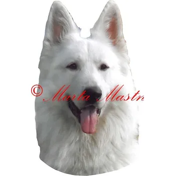 Samolepka bílý švýcarský ovčák 471