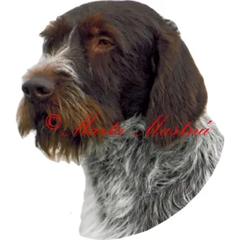 Samolepka český fousek, ohař 712