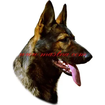 Samolepka německý ovčák 580