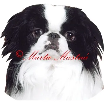 Samolepka japončík, japan chin archiv 412