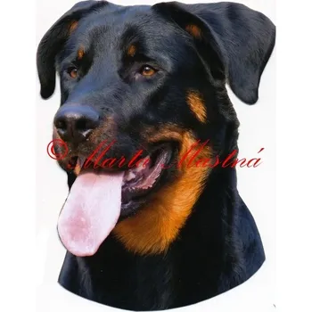 Samolepka beauceron 25 - archiv
