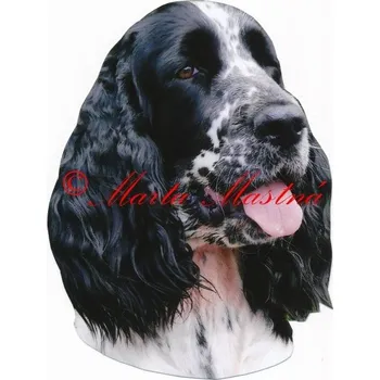 Samolepka špringršpaněl 360