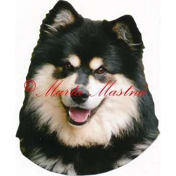 Samolepka lapinkoira 244