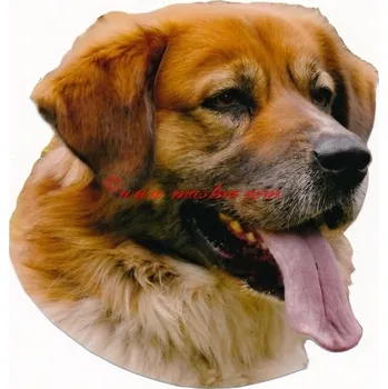 Samolepka český horský pes - archiv 107