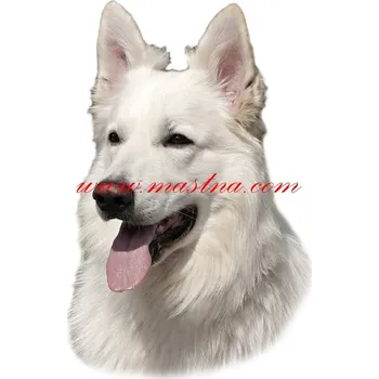 Samolepka bílý švýcarský ovčák 24