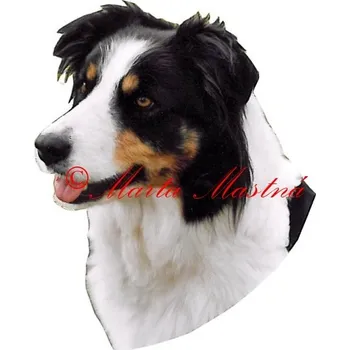 Samolepka border kolie - archiv 467