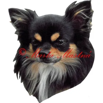 Samolepka čivava - chihuahua 403