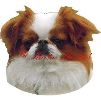 Samolepka japončík, japan chin archiv 428