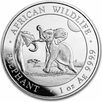 Stříbrná mince Somálsko Slon 1 oz African Wildlife 2024 Ag 9999 Bavorská mincovna