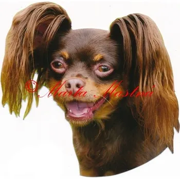 Samolepka ruský toy - archiv