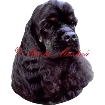 Samolepka americký kokršpaněl archiv 521