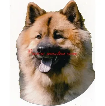 Samolepka eurasier - archiv 522