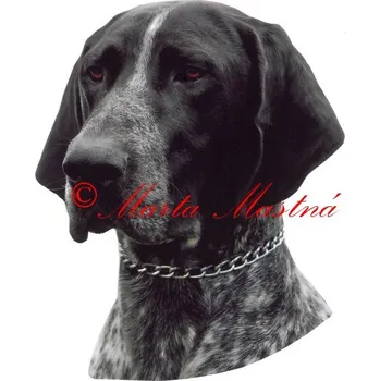 Samolepka německý krátkosrstý ohař 616