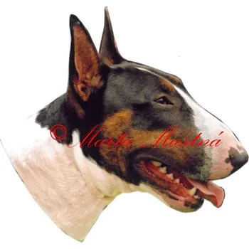 Samolepka bulteriér - archiv 723