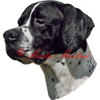 Samolepka pointr - archiv 301