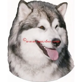 Samolepka aljašský malamut - archiv 523