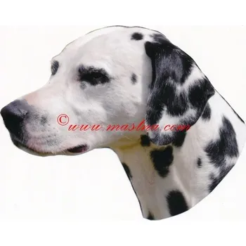 Samolepka dalmatin 508