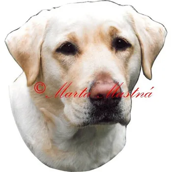Samolepka labrador retrívr 338