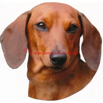 Samolepka jezevčík hladkosrstý, krátkosrstý 491