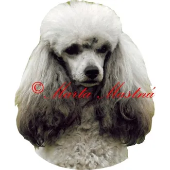 Samolepka pudl stříbrný 376