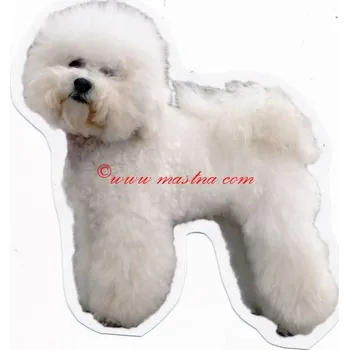 Samolepka bišonek - archiv 366