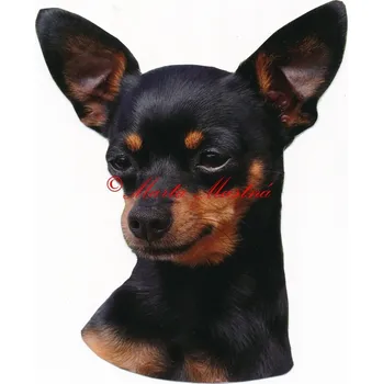 Samolepka pražský krysařík 411- archiv