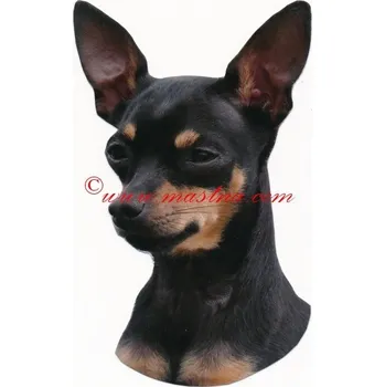 Samolepka pražský krysařík 427