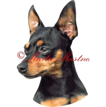 Samolepka pražský krysařík 415