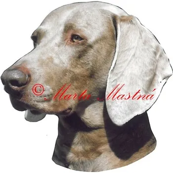 Samolepka výmarský ohař 303