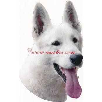 Samolepka bílý švýcarský ovčák 12