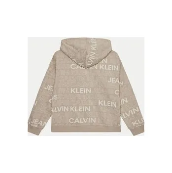 Pánská mikina Calvin Klein Jeans Mikina IB0IB02381 Šedá Regular Fit 8Y