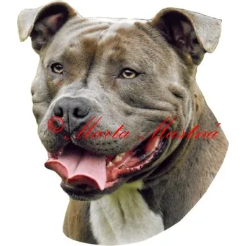 Samolepka stafordšírský teriér, staford, pitbul 615 - archiv