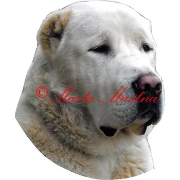 Samolepka středoasijský pastevecký pes, asiat 589