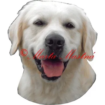 Samolepka zlatý retrívr, golden 555