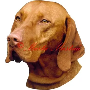 Samolepka maďarský ohař, vyžla 308