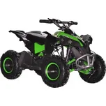 Dětská elektrická čtyřkolka Renegade 36V 1000W green (Dětská Aku čtyřkolka Renegade zelená)