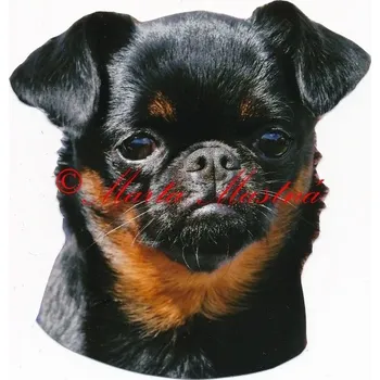 Samolepka brabantík, brabantský grifonek 400