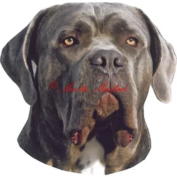 Samolepka cane corso 101