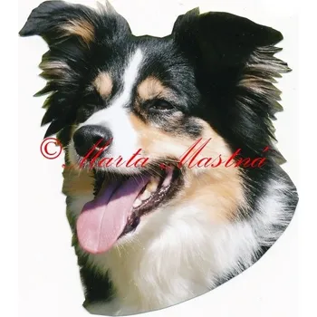 Samolepka border kolie 563 - archiv