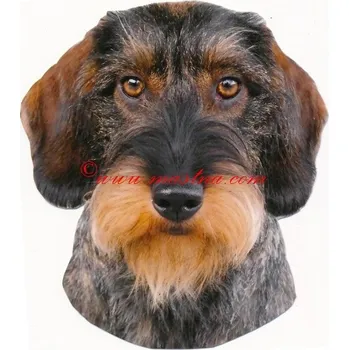 Samolepka jezevčík drsnosrstý, hrubosrstý 494