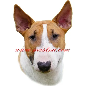 Samolepka bulteriér 173